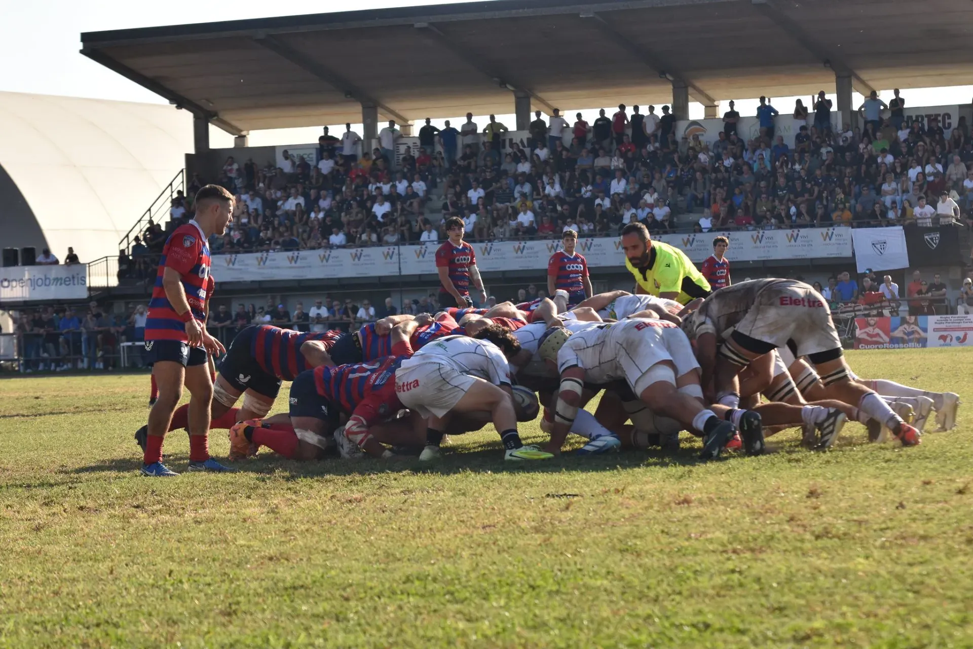rugby